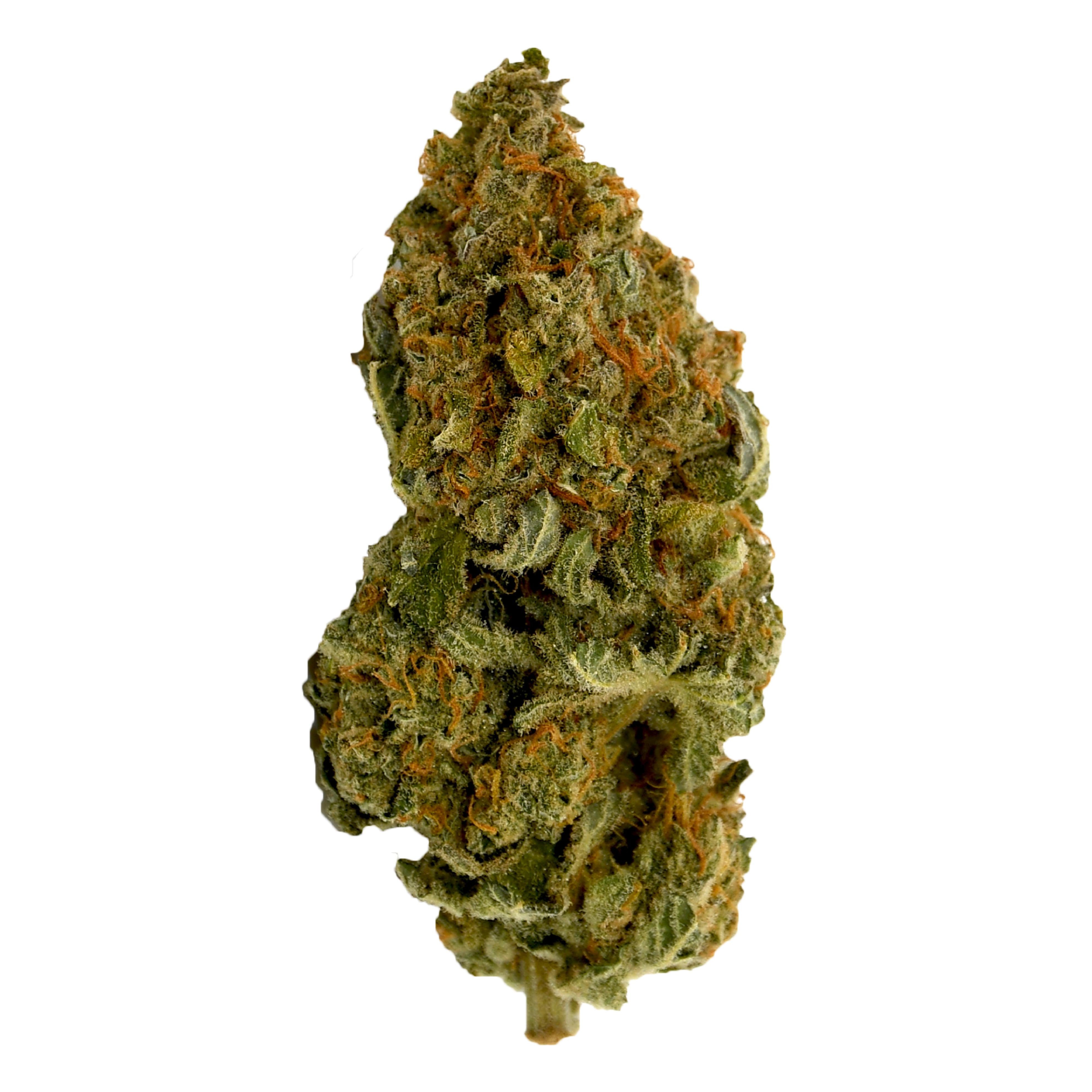 CANNA FARMS BLUE DREAM (S) DRIED  - 3.5G