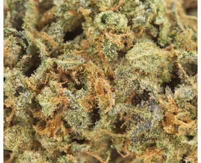 VERTICAL CANNABIS COLD CREEK KUSH (IND) DRIED - 1G