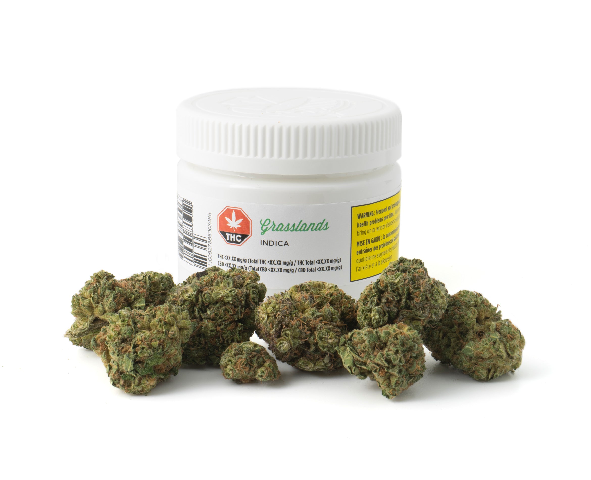 GRASSLANDS INDICA (IND) DRIED - 5G