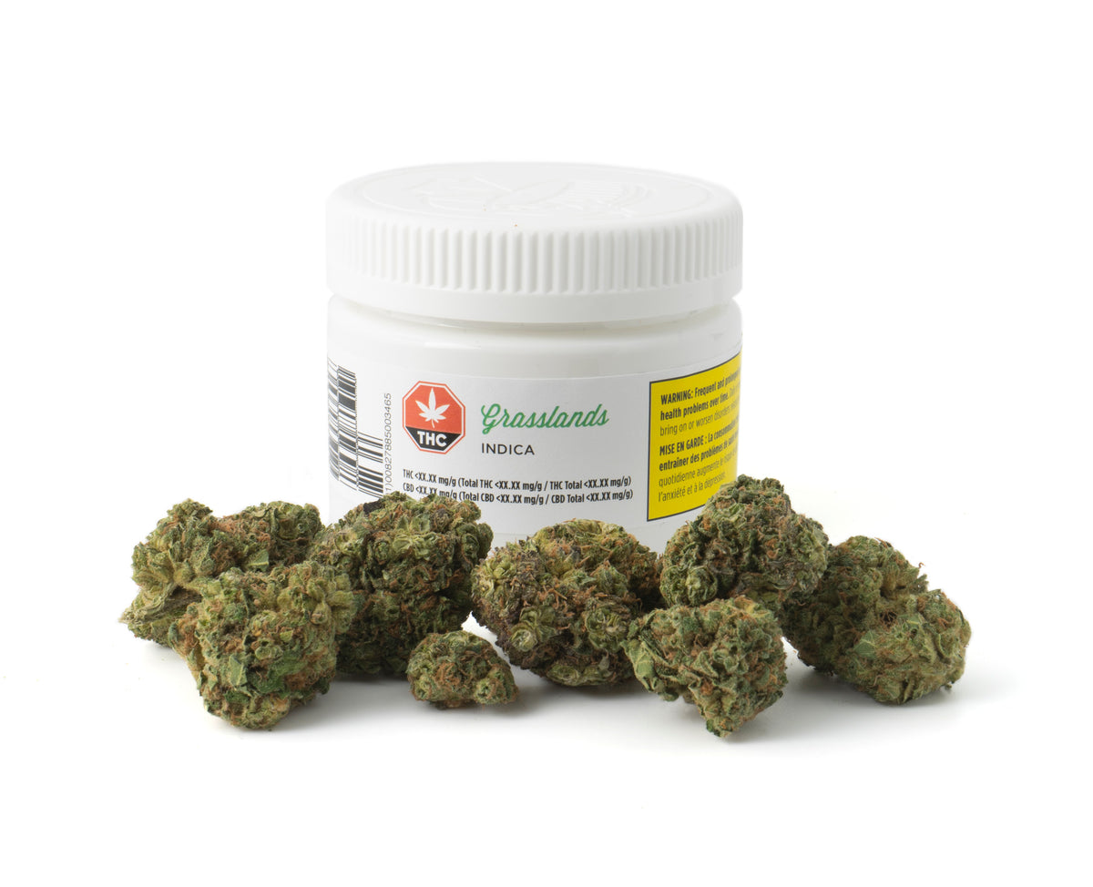 GRASSLANDS INDICA (IND) DRIED - 5G