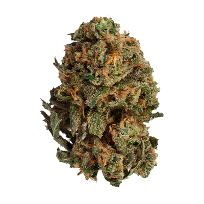 ORIGINAL STASH OS.130 (S) DRIED - 28G