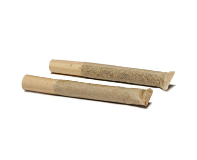 WHISTLER CANNABIS CHOCOLOPE (S) PRE-ROLL - 0.5G X 2