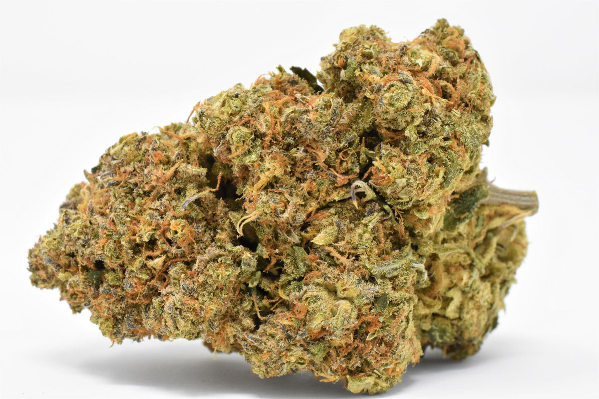 WEED ME CINDY JACK (S) DRIED - 1G