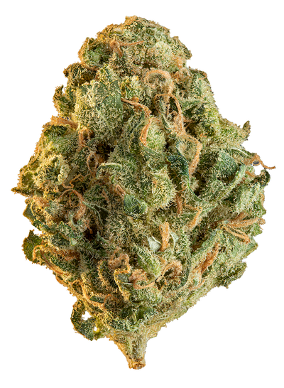 EDISON LIMELIGHT (S) DRIED - 3.5G