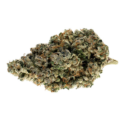 BROKEN COAST STARGAZER (SONORA) (IND) DRIED - 3.5G