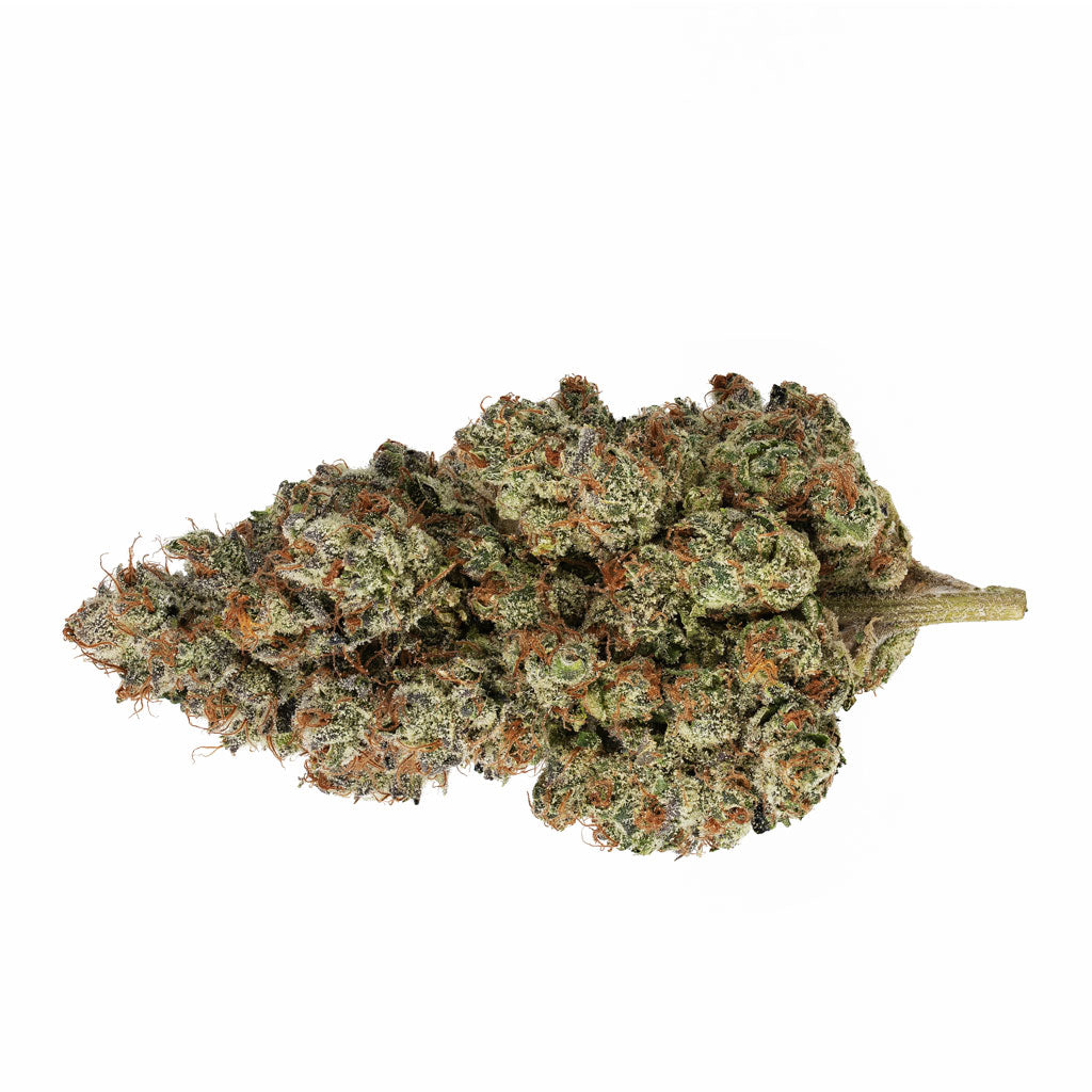 BROKEN COAST UP IN THE SKY (DENMAN) (S) DRIED - 3.5G