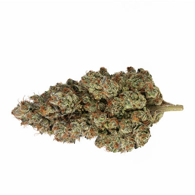 BROKEN COAST UP IN THE SKY (DENMAN) (S) DRIED - 3.5G