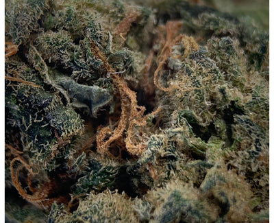 TOP LEAF OREGON GOLDEN GOAT (S) DRIED - 3.5G