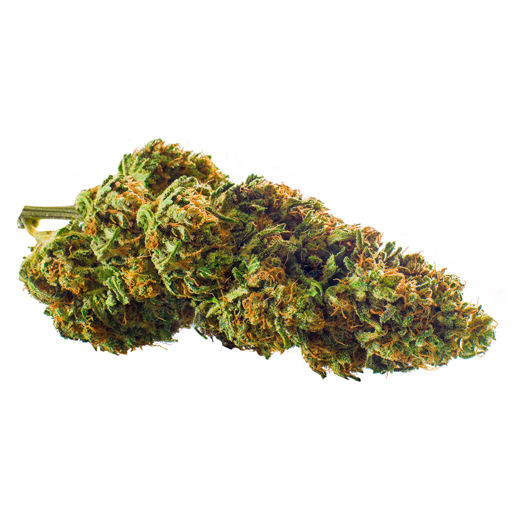 REDECAN GOD BUD (IND) DRIED - 3.5G