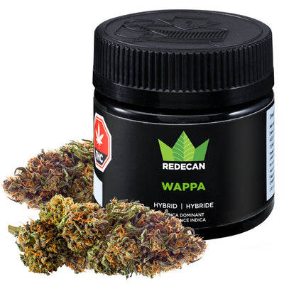 REDECAN WAPPA (IND) DRIED - 1G