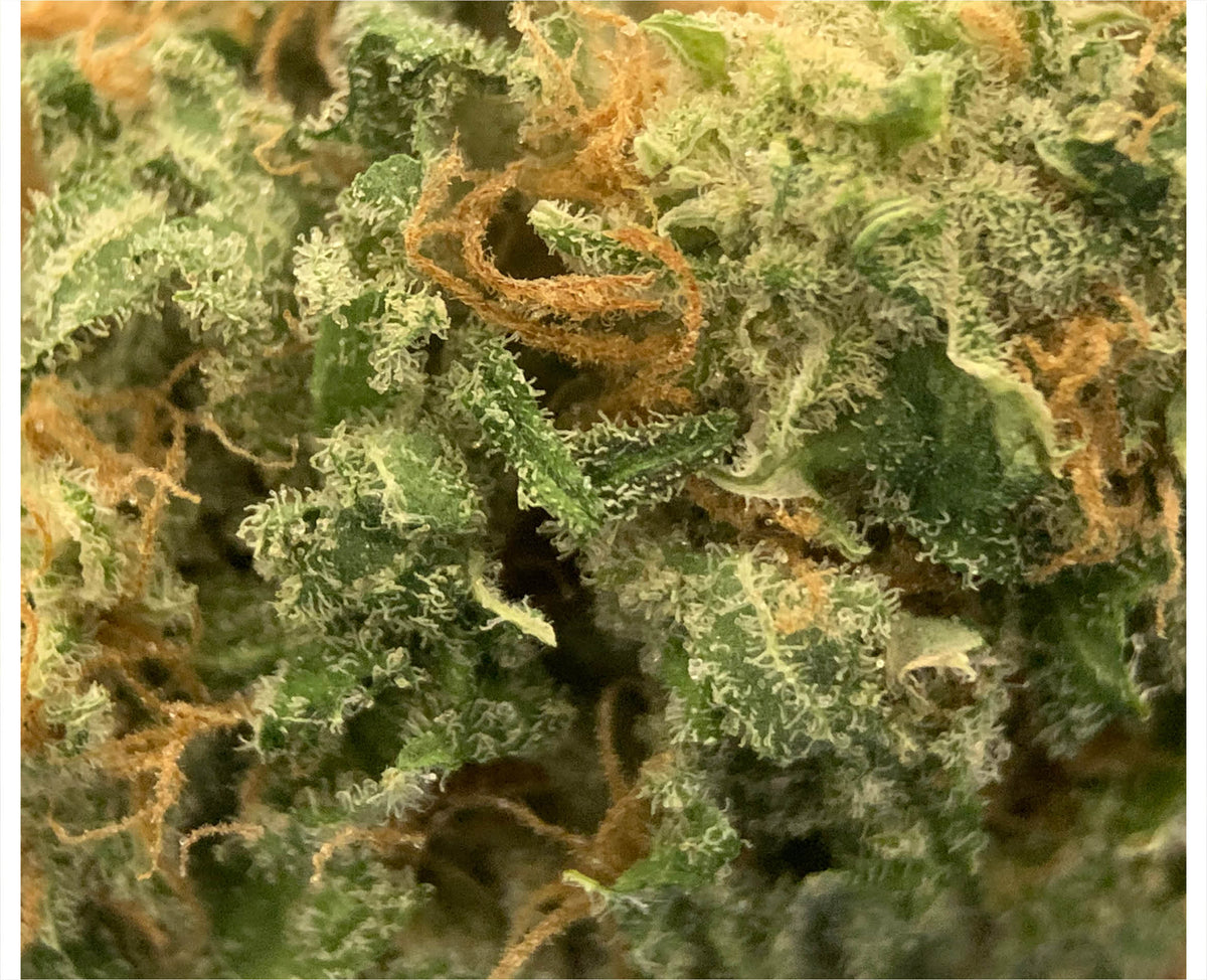 SUNDIAL STRAWBERRY TWIST (IND) DRIED - 1G