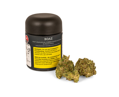 BOAZ ZOUR APPLES (IND) DRIED - 3.5G