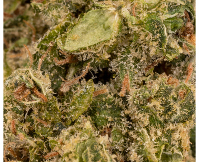 BOAZ ZOUR APPLES (IND) DRIED - 3.5G