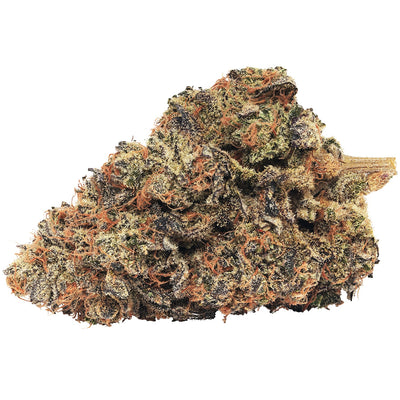 BROKEN COAST MUSKMELON OG (SATURNA) (H) DRIED - 3.5G