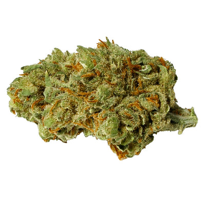 PURE SUNFARMS CRITICAL KALI MIST (S) DRIED - 3.5G