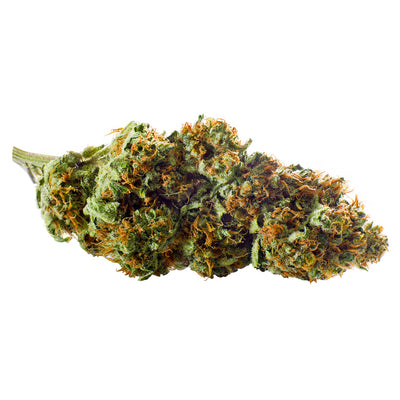 REDECAN OUTLAW (S) DRIED - 1G