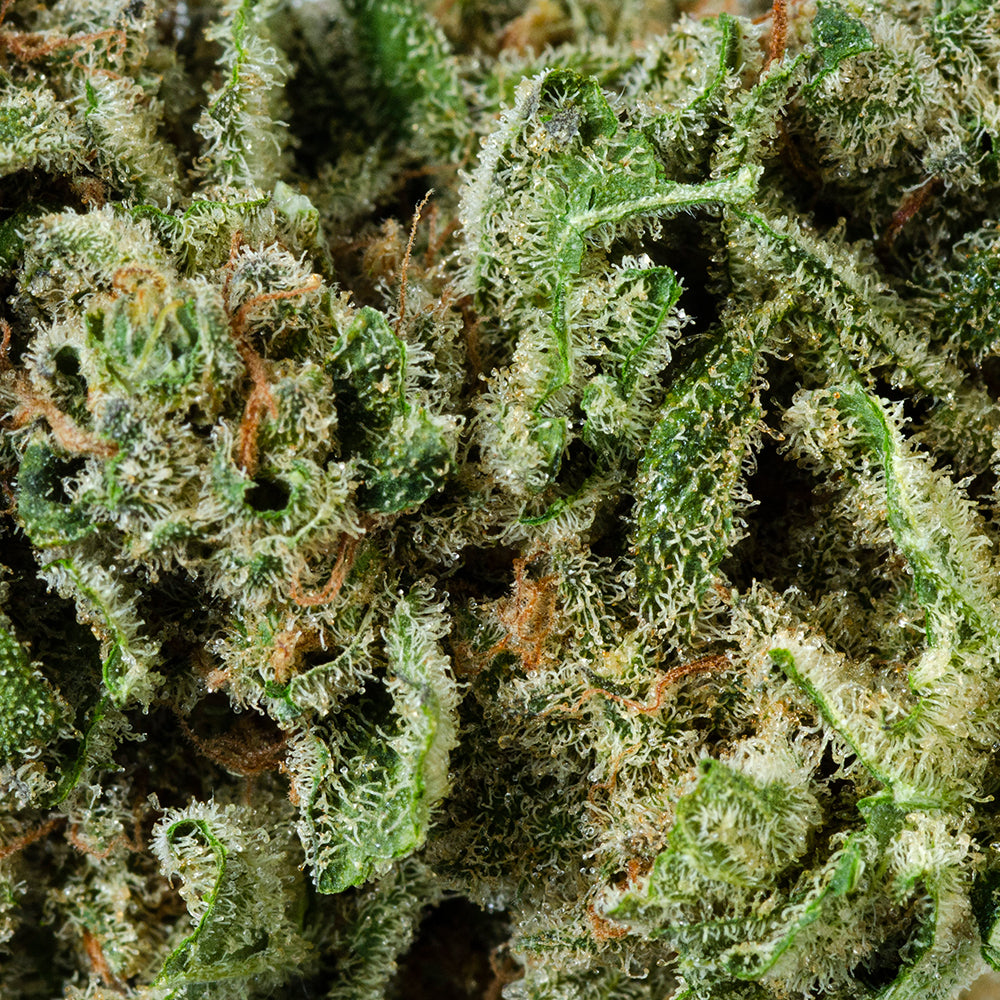 ORIGINAL STASH OS.RESERVE INDICA (IND) DRIED - 14G