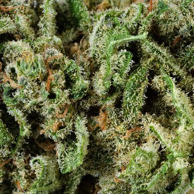 ORIGINAL STASH OS.RESERVE INDICA (IND) DRIED - 14G