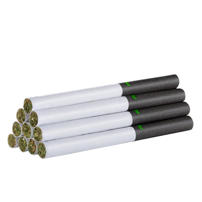REDECAN COLD CREEK KUSH (H) PRE-ROLL - 0.35G X 10