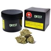 QWEST GOJI OG (S) DRIED - 3.5G