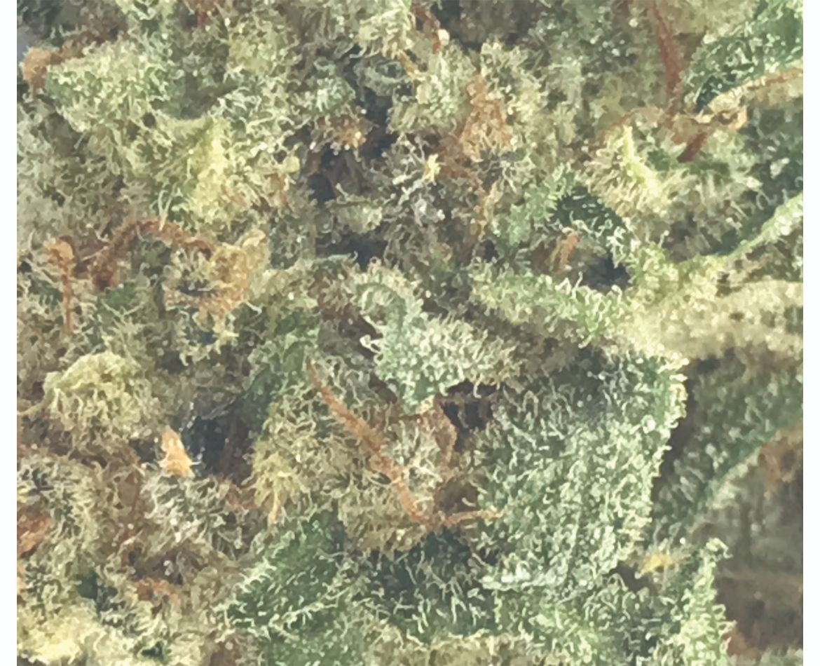 ABBA MEDIX CRITICAL ORANGE PUNCH (H) DRIED - 3.5G
