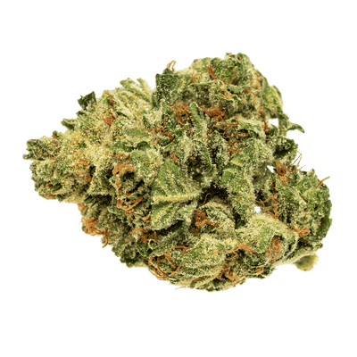 SOLEI RENEW (IND) DRIED - 7G