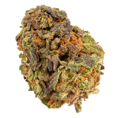 RIFF SUBWAY SCIENTIST (IND) DRIED - 7G
