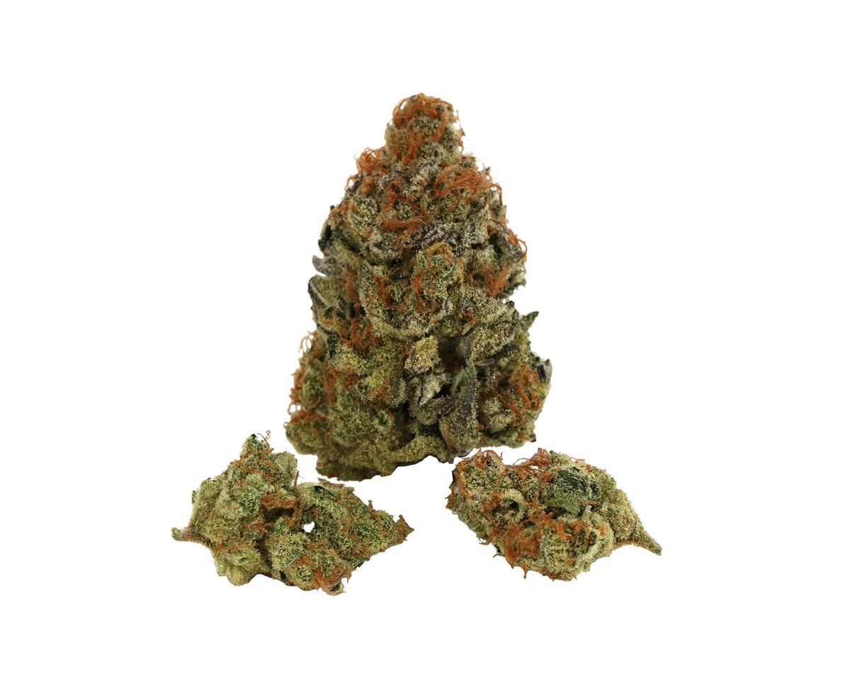 BOAZ PLATINUM GELATO (H) DRIED - 3.5G