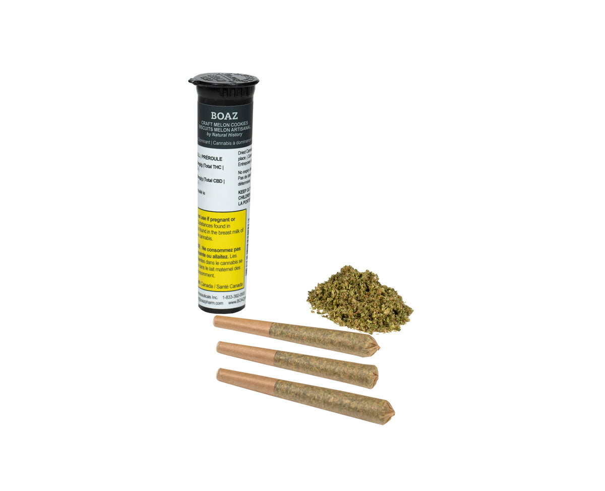 BOAZ MELON COOKIES (IND) PRE-ROLL - 0.5G X 3