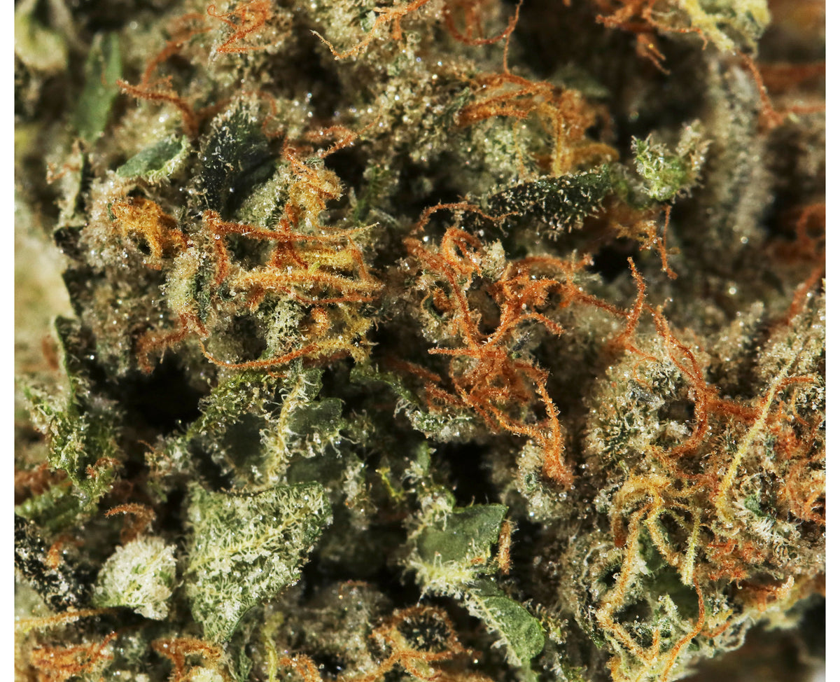 BOAZ GREEN KRAKEN (S) DRIED - 3.5G