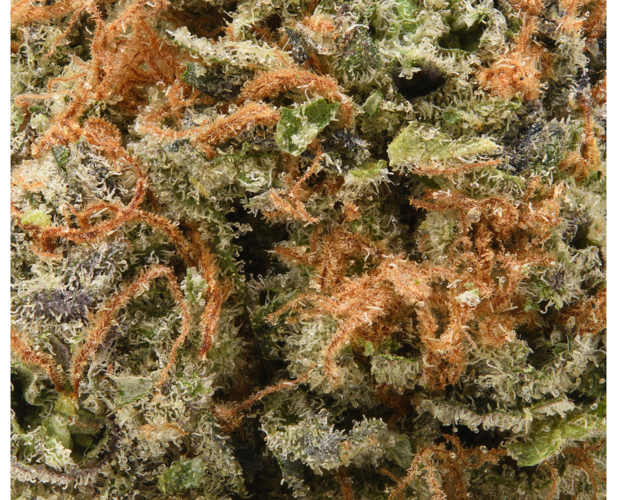 GOOD BUDS SAPPHIRE OG (IND) DRIED - 3.5G