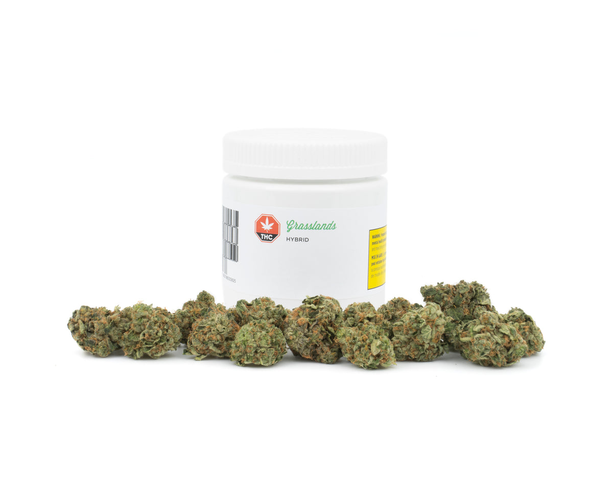 GRASSLANDS HYBRID (H) DRIED - 15G