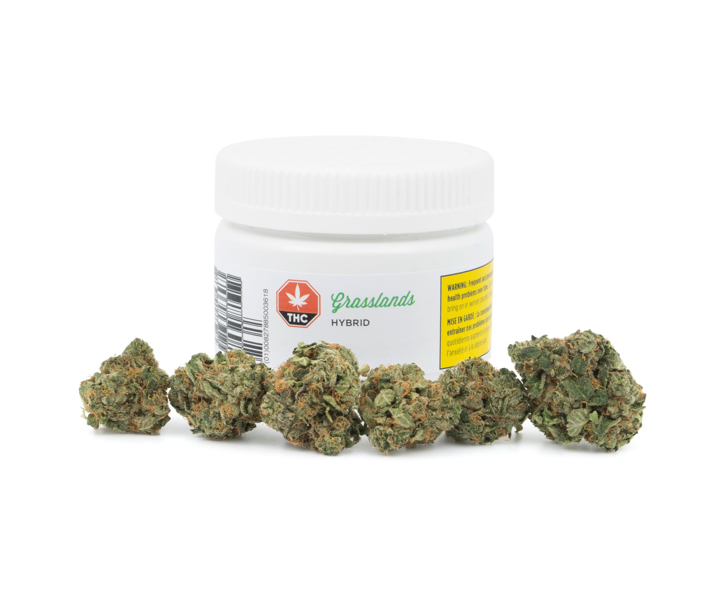 GRASSLANDS HYBRID (H) DRIED - 5G