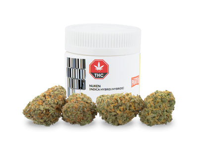 PALMETTO NUKEN (IND) DRIED - 3.5G