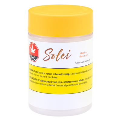 SOLEI GATHER (S) DRIED - 7G