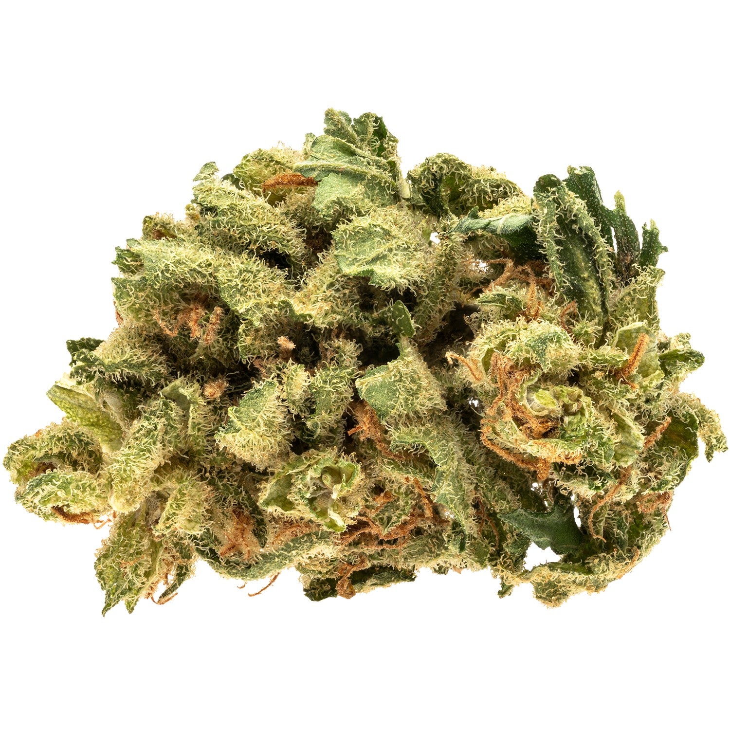 RIFF RAIDER KUSH (IND) DRIED - 7G