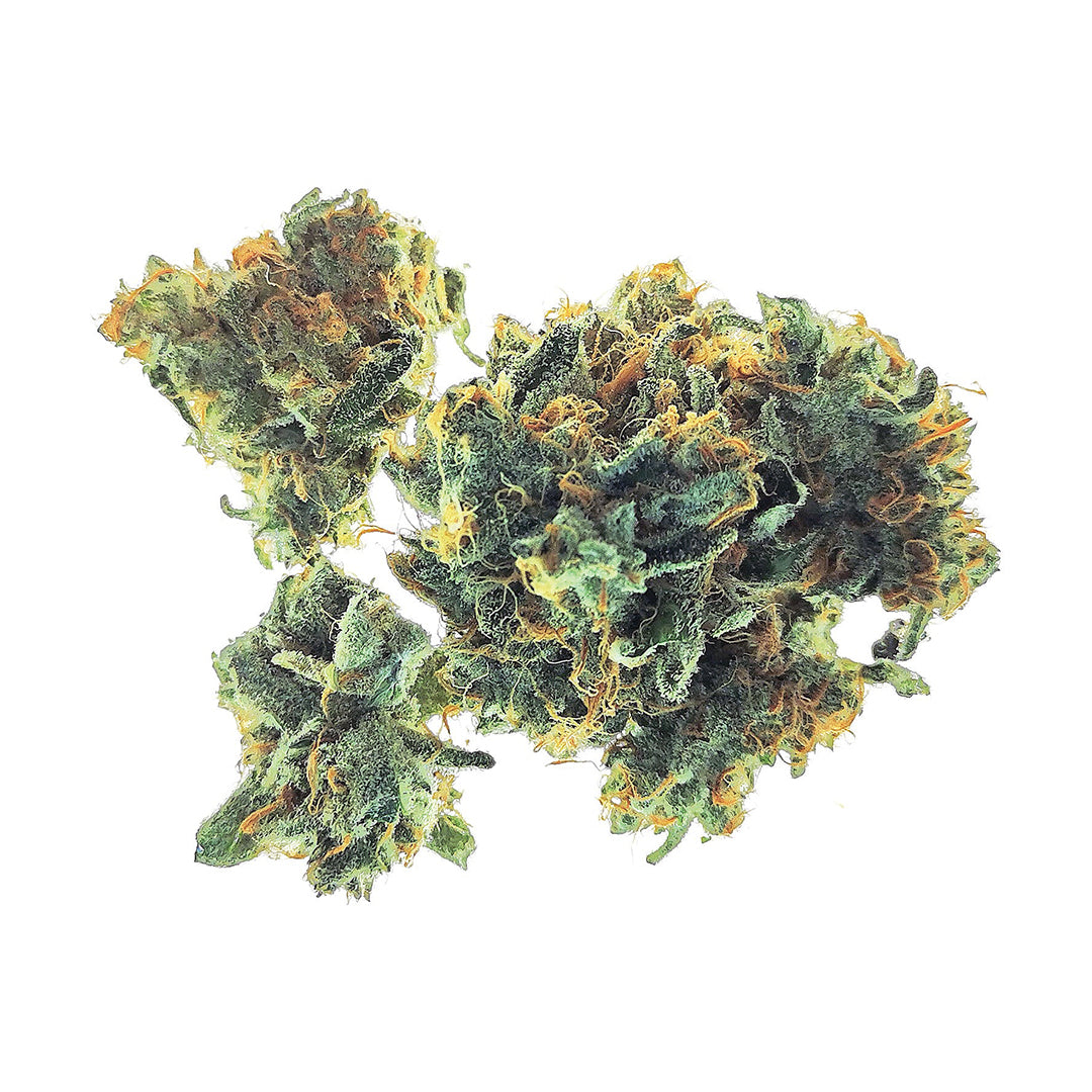 48NORTH GRANDADDY PURPLE (IND) DRIED - 3.5G