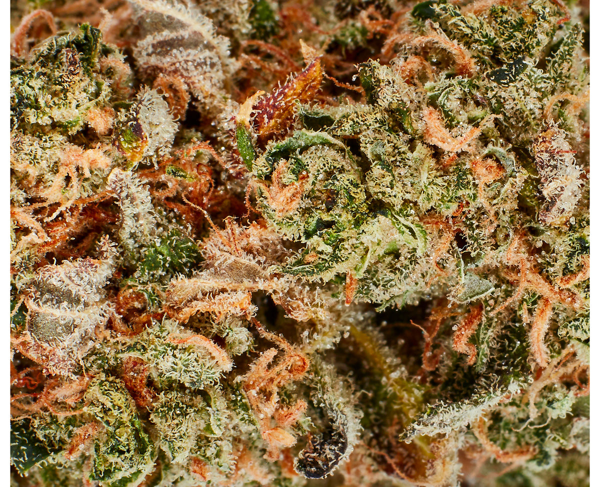 FLOWR BC TAHOE OG (S) DRIED - 3.5G