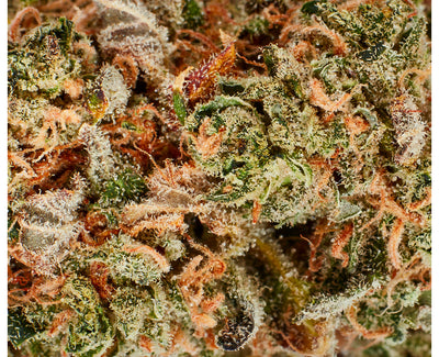 FLOWR BC TAHOE OG (S) DRIED - 3.5G