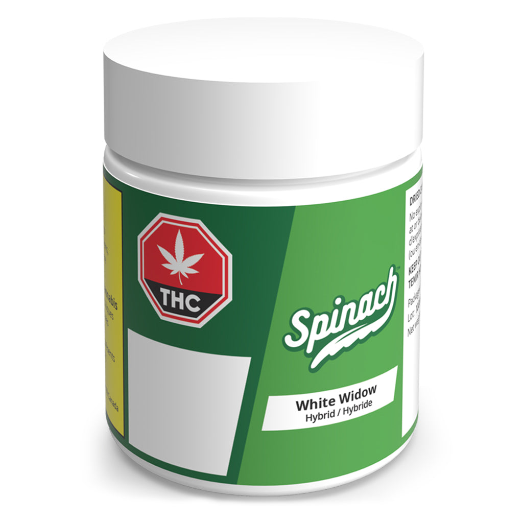 SPINACH WHITE WIDOW (H) DRIED - 7G