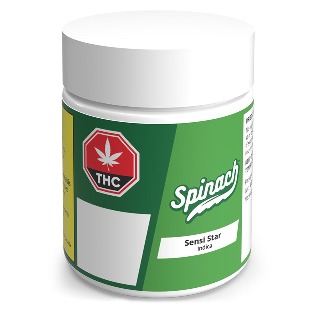 SPINACH SENSI STAR (IND) DRIED - 7G