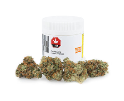 PALMETTO CHEMDAWG (H) DRIED - 3.5G