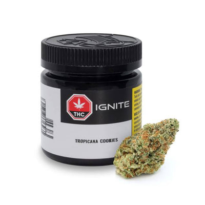 IGNITE TROPICANA COOKIES (H) DRIED - 3.5G