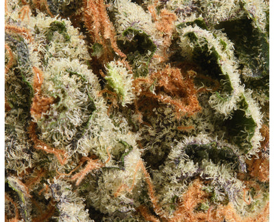 GOOD BUDS SALTY GOD (IND) DRIED - 3.5G