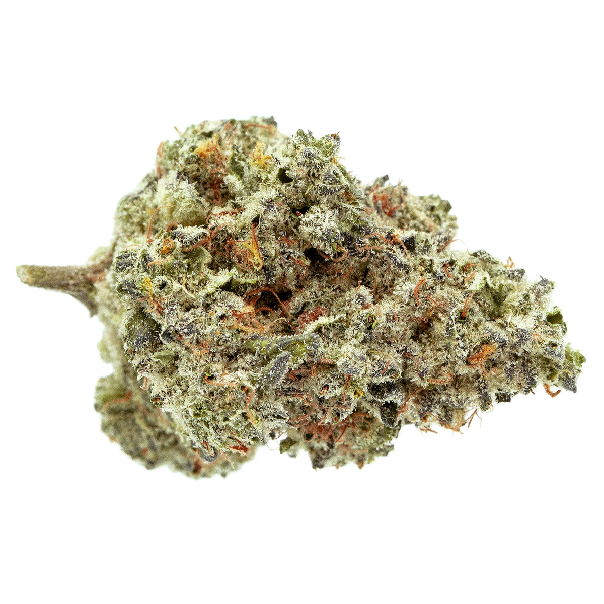 HABITAT LIFE CAKE (H) DRIED - 3.5G