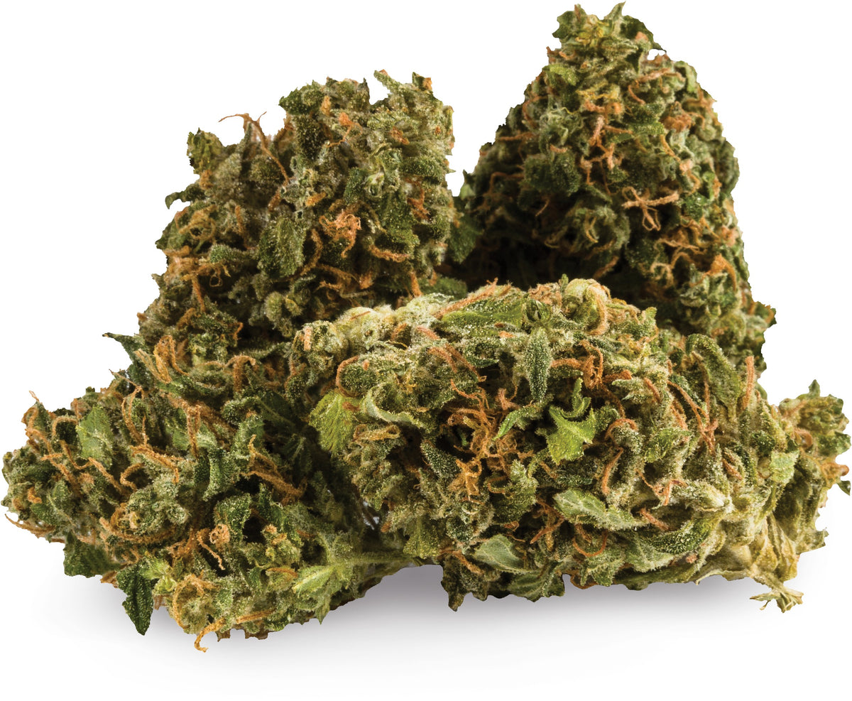 AURORA GHOST TRAIN HAZE (S) DRIED - 3.5G
