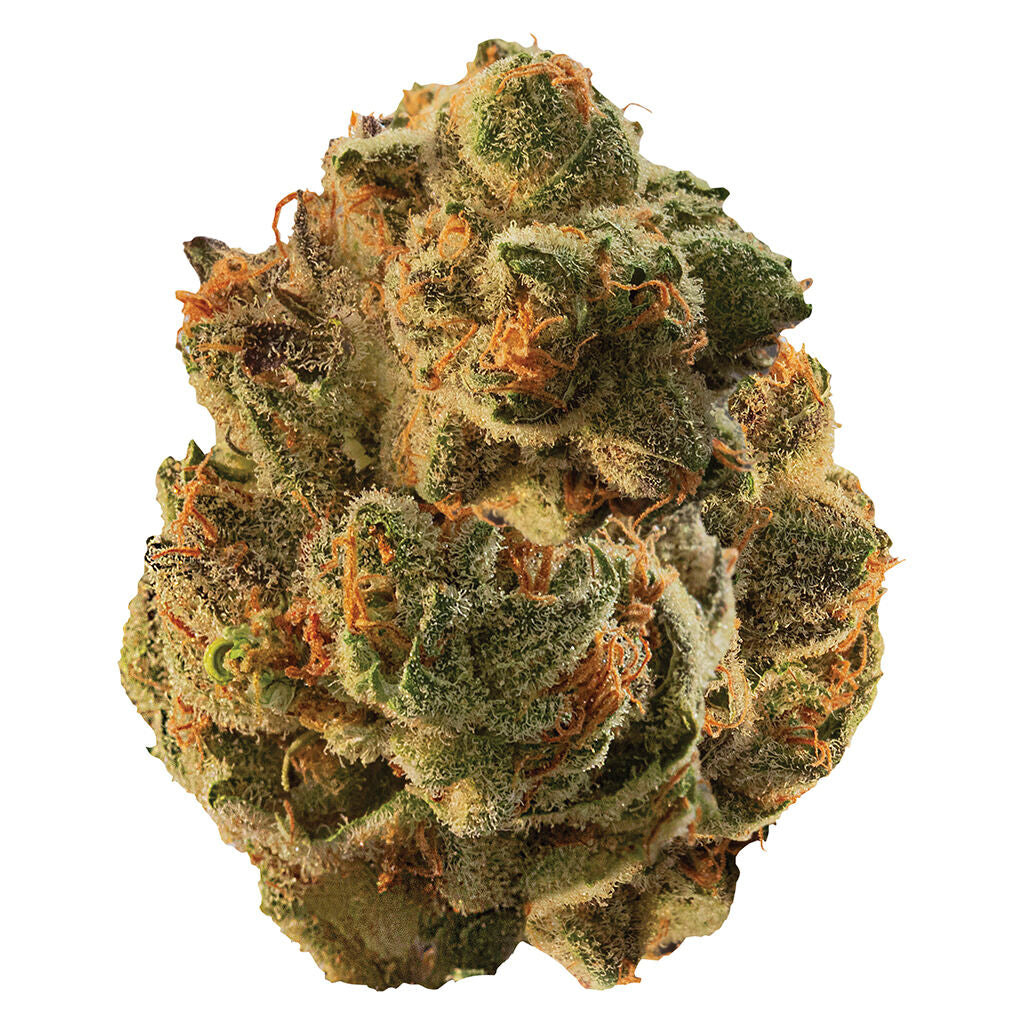CANACA BLUEBERRY (IND) DRIED - 3.5G