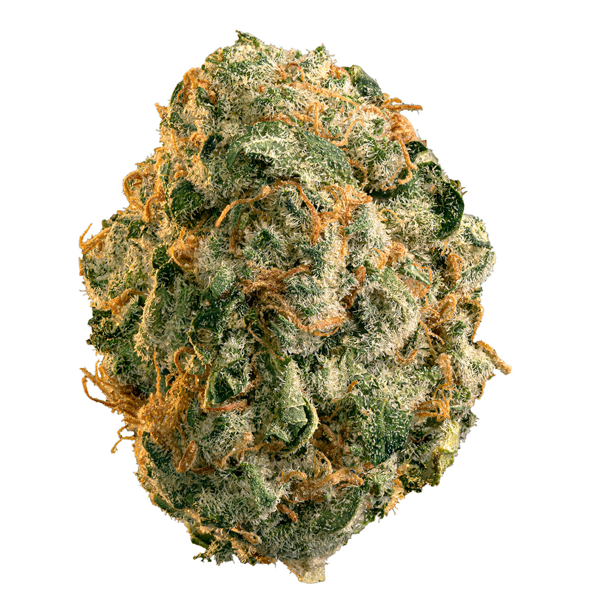 EDISON CHEMDOG (H) DRIED - 3.5G