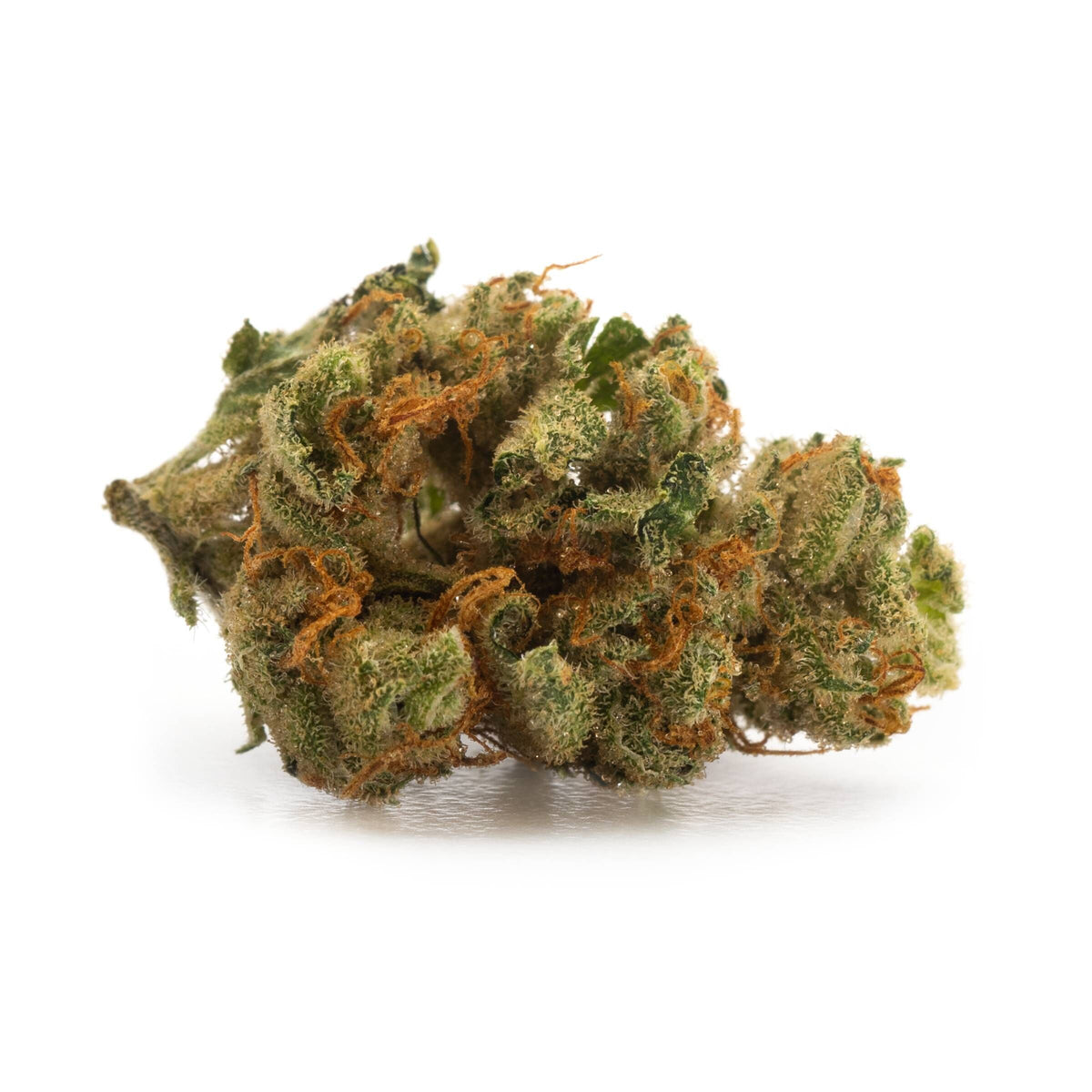 LBS MOONBEAM (IND) DRIED - 15G