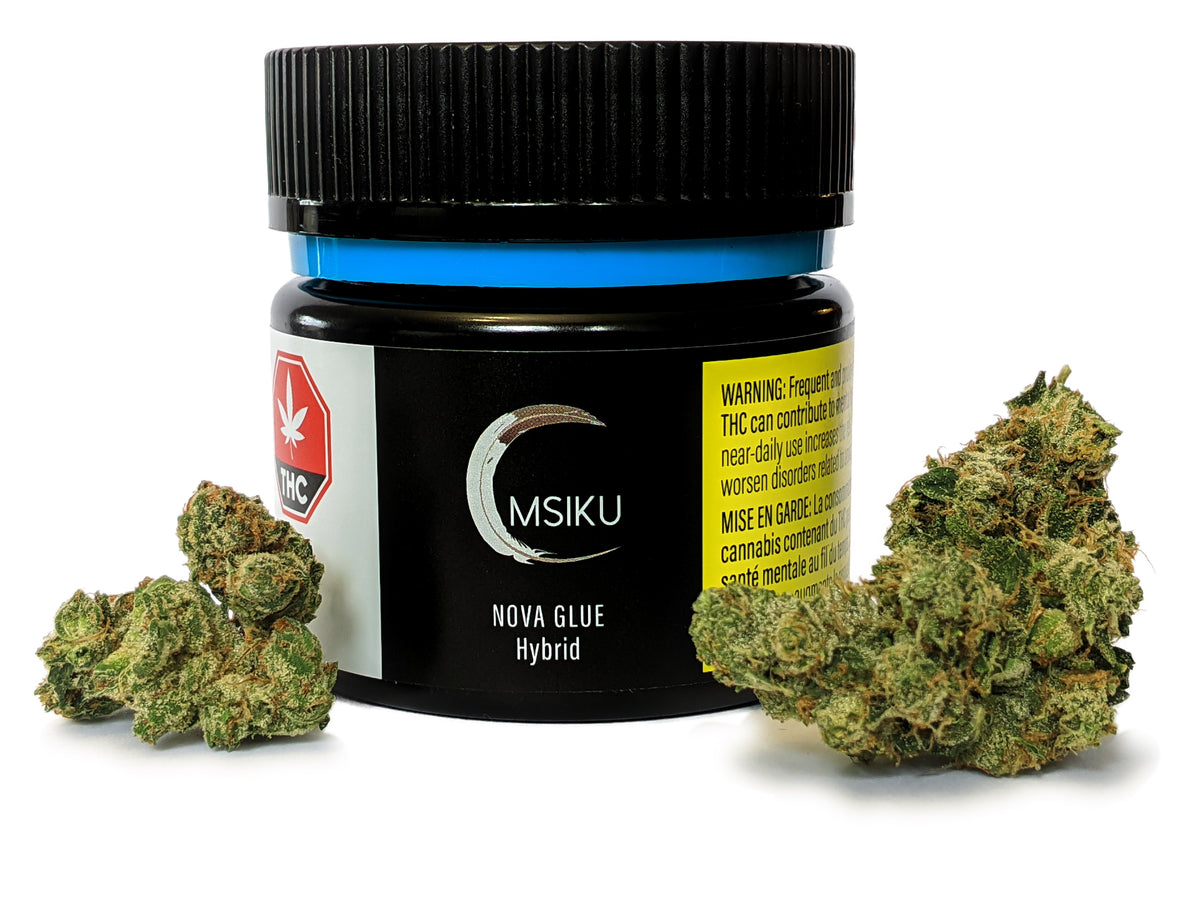 MSIKU NOVA GLUE (H) DRIED - 3.5G